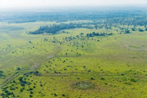 Największe bagna świata